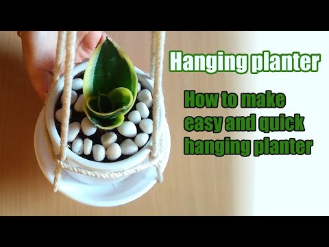 #DIY Small Plant Hanger #QuickAndEasyHangingPlanter #1 Minute Hanging Planter