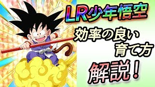 【ドッカンバトル #236】LR少年悟空の効率のいい育て方を解説！老界王神を節約したい方必見！(初心者様向け)