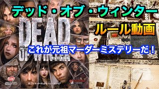 ルール動画