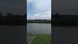Download lagu Mancing Di Spot Sungai Lematang Lahat Sumatera Selatan #shorts #mancing #youtubeshorts mp3