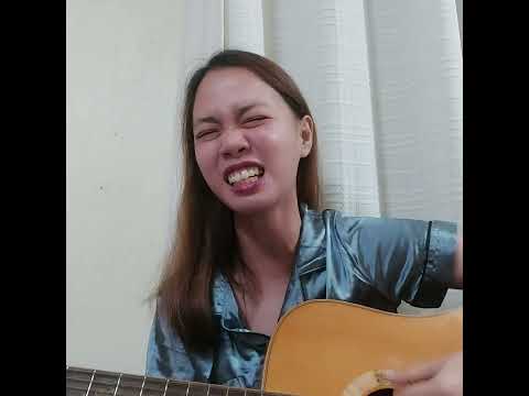 We Don't Talk About Bruno | Havana - Acoustic Cover