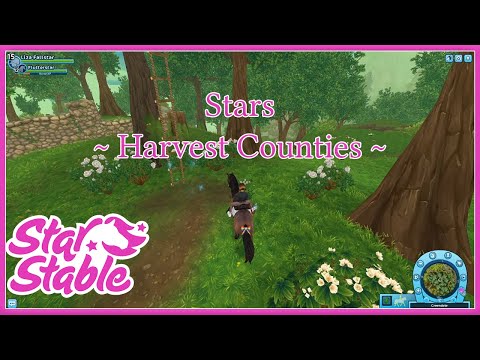 | Stars - The Harvest Counties | SSO |