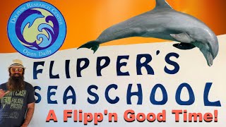 Dolphin Research Center: They Can Do WHAT! | Travel Vlogs | DestinatioNow S.6 Ep.170
