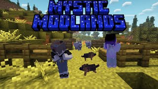 There's been a death|.𖥔 ݁ ˖ ✦ ‧₊˚  Mystic Modlands Ep 2. 𖥔 ݁ ˖ ✦ ‧₊˚ ⋅