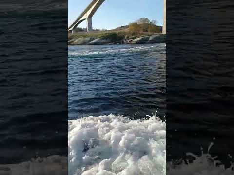 NORD&NE Saltstraumen Norway