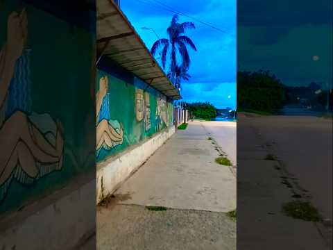 Caminando Bolivia - Puerto Quijarro, Departamento de Santa Cruz