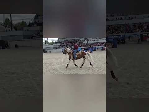 Mustang Makeover 31.08.2025 - Challenge III - Team Marco