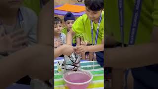STEM Learning
