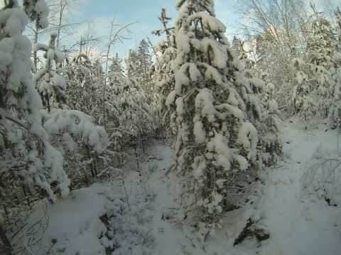 Nyt on sitten käyty lenkillä