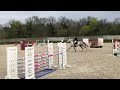Belle jument 10 ans, expérimentée, idéale CSO 105-120