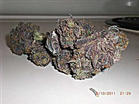 Video thumbnail 4cO8zABKiSE