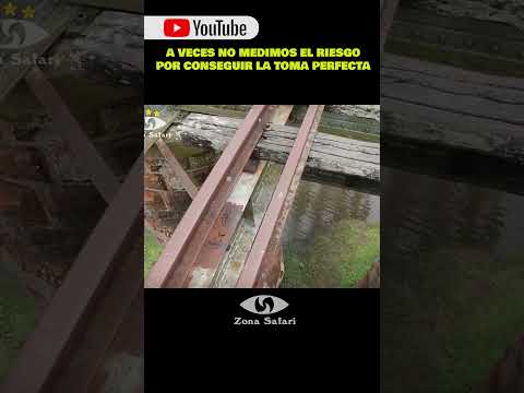 ⚠️Por una buena toma, a veces uno se olvida del peligro 🎥