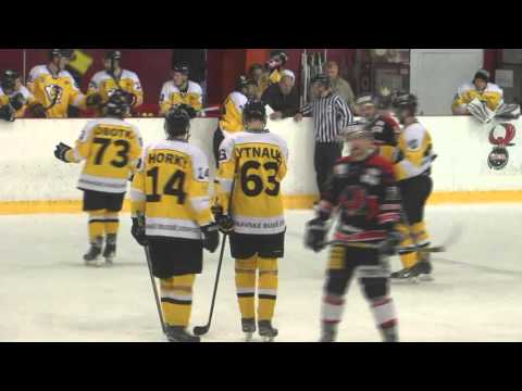 hokej Technika Brno vs. Žihadla ... 3. zápas play-off ... 2. třetina ... 29.2.2016