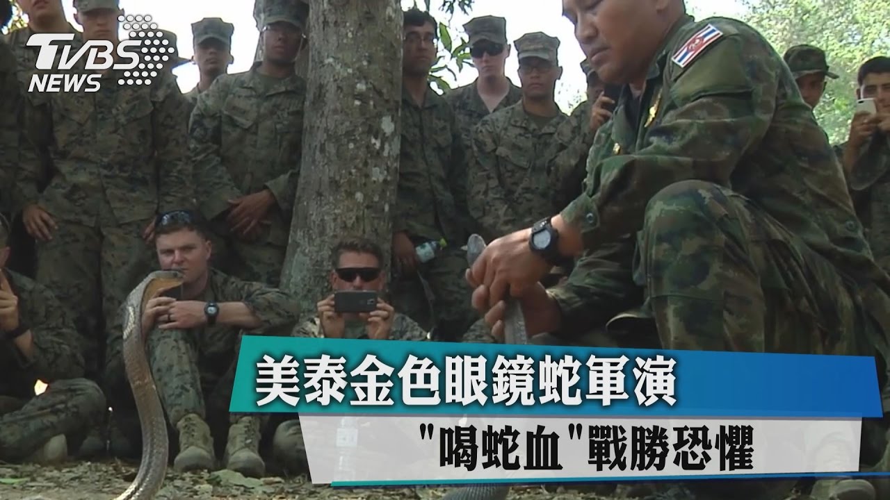 美泰金色眼鏡蛇軍演　「喝蛇血」戰勝恐懼