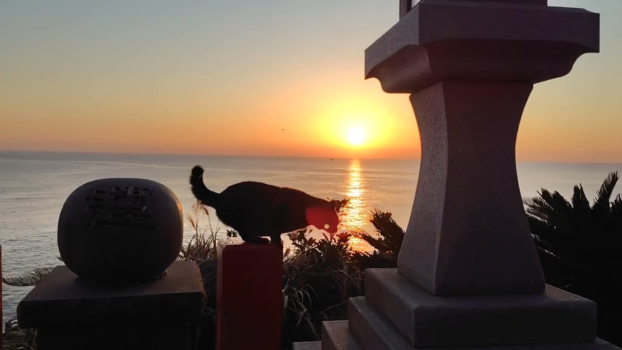 鵜戸神宮  日南海岸の夜明け   宮崎県日南市  肩乗り猫リクちゃん   2026年2月16日