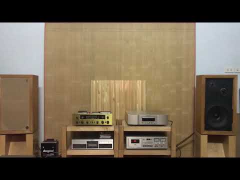 CHỈ CÒN MỘT ĐÊM