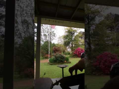 Wafaring Stranger on dulcimer