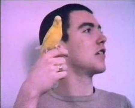 Niels Frevert - Du Musst Zuhause Sein