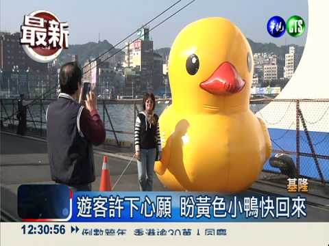活不過2013... 基隆黃小鴨"爆"斃!