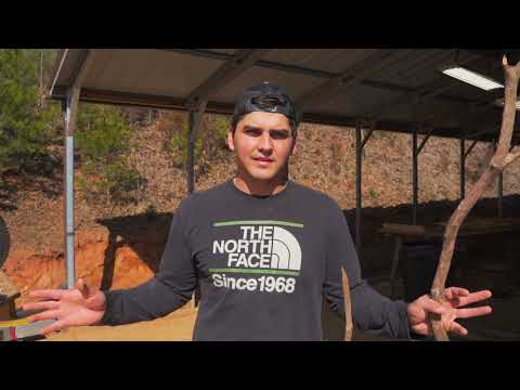 How We Prepare our Mountain Laurel Branches for Railings and Furniture!