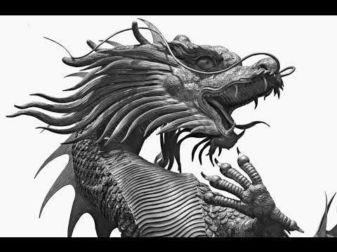 XYQ Transformative Animal Power (VIMEO tutorial film)