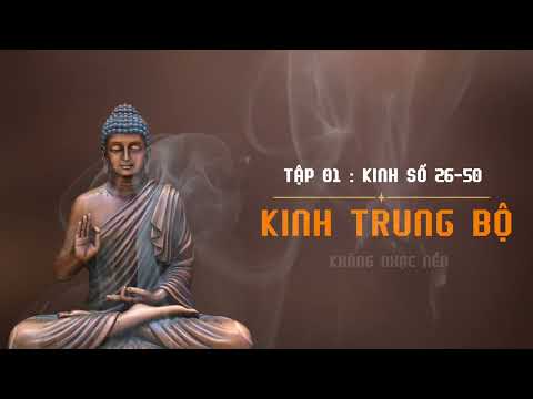 Kinh Trung Bộ Tập 01 | Kinh số 26-50 | HT Thích Minh Châu Dịch Việt