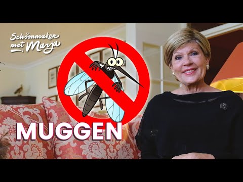 , title : 'Muggenbeten voorkomen doe je zo 🐝 Schoonmaken met Marja Middeldorp'