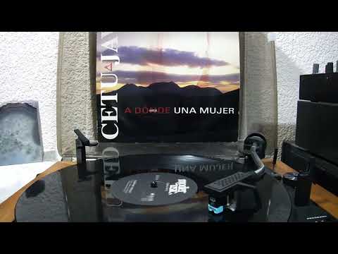 Cetu Javu - A Donde? (Version Remix) **Vinyl** 1994