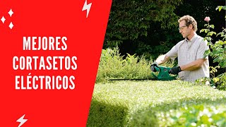 ✅ Mejores Cortasetos Eléctricos 2022 - (Top 5)