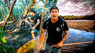 Catching Giant Mud Crab In Remote Mangrove Forrest (Venomous Sea Snakes & Stone Fish) - Ep 274