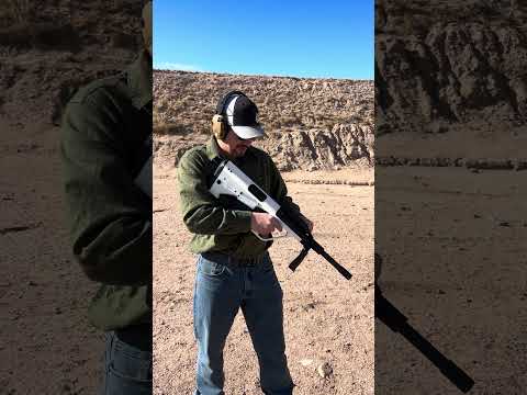 An AUG SHOTGUN? The Serengeti AUG 12 (Panzer Arms) | IWA 2025