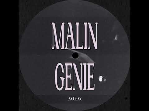 Malin Genie - Bodie