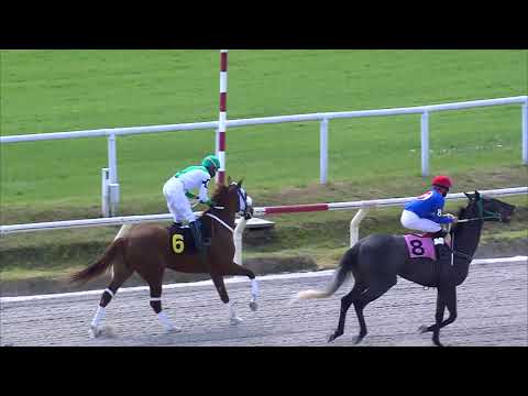 19/09/2020 – Hipodromo Maroñas – Carr 2 – PALAFRENERO (2011)