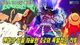 [원피스 1002화 풀버전 리뷰]드디어 폭발한 조로의 무장색 패기와 엔마의 힘!!
