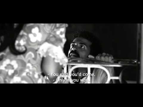 afbeelding Arbitro, L'