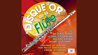 Fife' N' Tambourine Corps