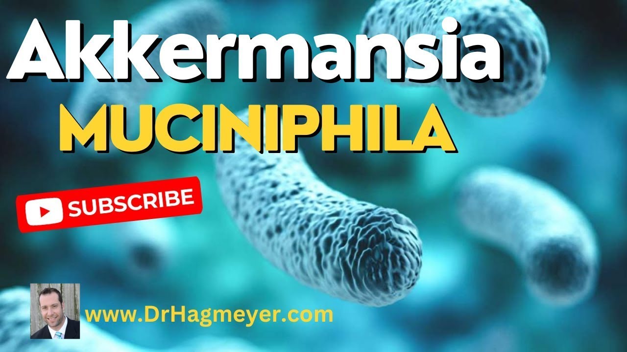 🦠How to increase Akkermansia muciniphila, Low Levels of Akkermansia Muciniphila?Dr Richard Hagmeyer