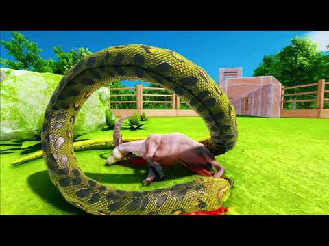 GIANT ANACONDA hunting prey - Wild Animals