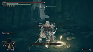 初見でELDENRINGやるよーその62