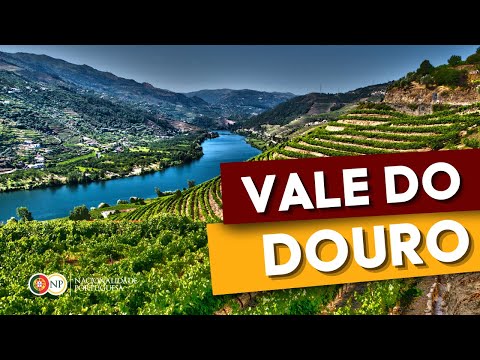 Vale do Douro