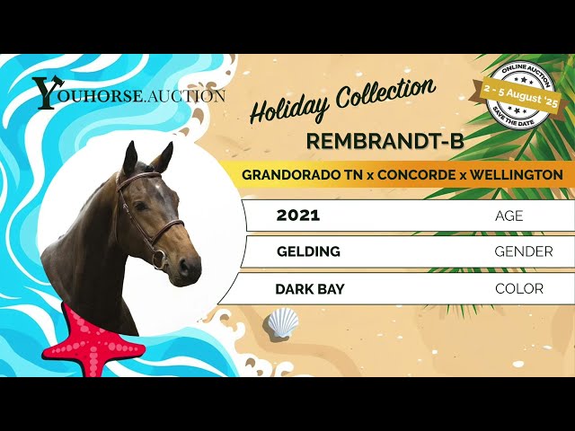 Rembrandt-B showvideo