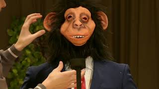 Behind The Scenes: MC Shy - Neon Shutters