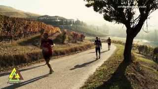 preview picture of video '2014 - 5a Ecomaratona del Barbaresco e del Tartufo Bianco d'Alba del 2 nov 2014 - il video'