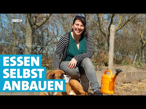 Permakulturgarten – Sarah baut ihr Essen selbst an| SWR Heimat | Menschen in Rheinland-Pfalz