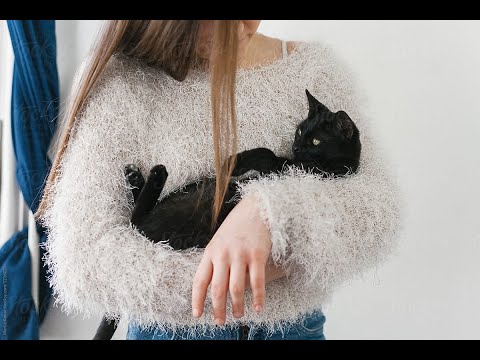 Hạnh phúc sau cùng - Trần Đức