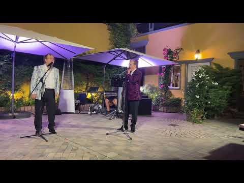 Romica Tociu si Cornel Palade - Cum a invatat Tociu limba germana?