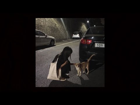 (sold) kaytranada x jpegmafia type beat - "v cute!"