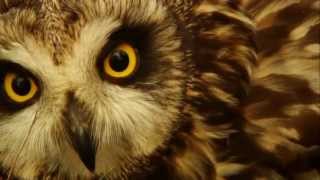 Hebrides: Islands on the Edge Trailer - BBC One Scotland