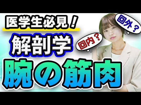 医学科 【解剖学】とっても覚えにくい解剖学の「腕の筋肉」について