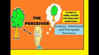 CLASS-11, PSYCHOLOGY, CHAPTER-5, THE PERCEIVER,#cbse #ncert #class11 #psychology #msw Perception